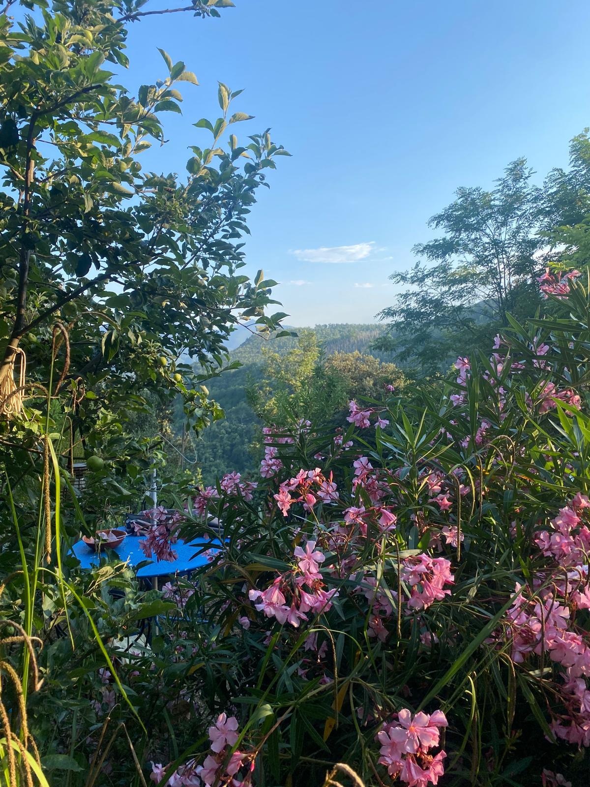 Sadhana d'Été — Yoga & Ayurveda