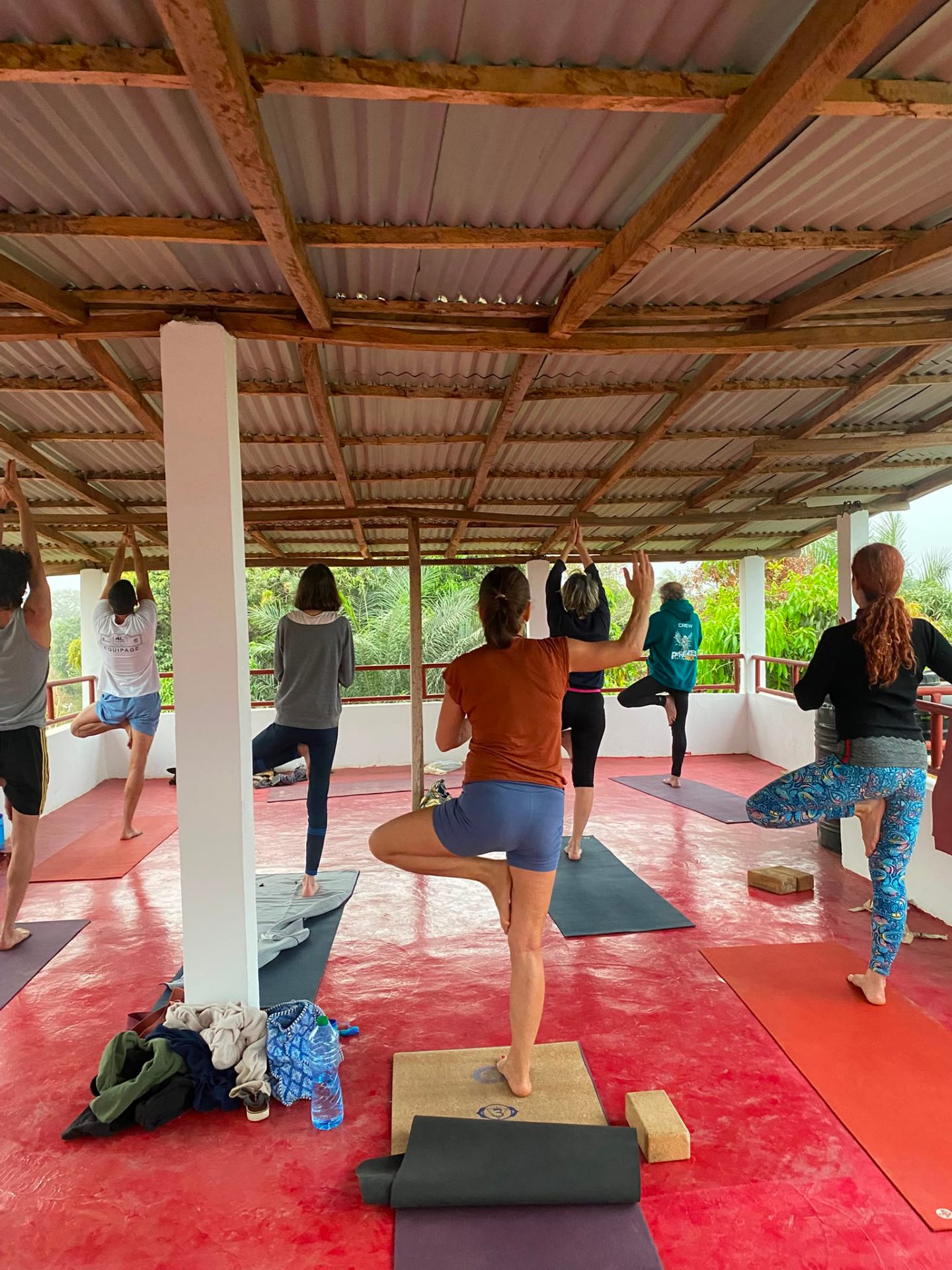 Posture de l'arbre — Casamance