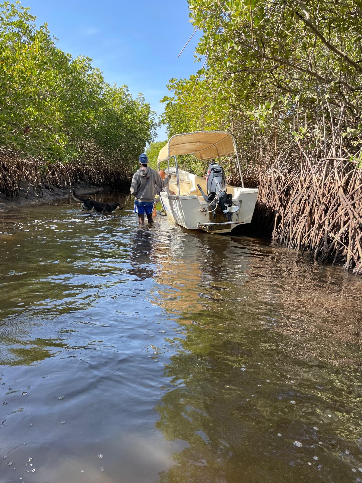 Traversée en pirogue dans la mangrove — Casamance